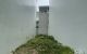 thum-m_sIYZLOwAMx_1669946913.jpg
