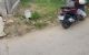 thum-9015619_ISUgk1lKnA_1670213692.jpg