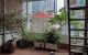 thum-9015713_teful5g6Ds_1670229929.jpg