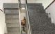 thum-9016034_0FuPe7CpNj_1670304035.jpg