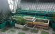 thum-9016049_MW56n0iEog_1670308074.jpeg