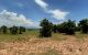thum-9016116_Fw7viGTRIV_1670314971.png