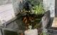 thum-9016239_Z5vta7sCE0_1670366262.jpg