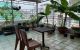 thum-9016449_6IJjTq9oNH_1670397059.jpg