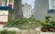 thum-m_ue7AY6LgMH_1670398513.jpg