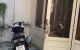 thum-9016798_jei9tPCmcY_1670490477.jpg