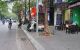 thum-m_3d5OViamF7_1670574571.jpg