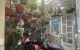 thum-m_dKwR3EYSPD_1670523595.jpg