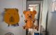 thum-9017446_arNy9iuneA_1670689439.jpeg