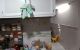 thum-9017569_mRNzFrx3ay_1670764379.jpg