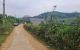 thum-9017724_9gWvE3aFJP_1670823547.jpg