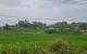 thum-9017724_WMXAxJyfuR_1670823559.jpg