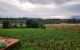 thum-9017753_z7EaIPeysh_1670830447.jpg