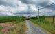 thum-9017771_rFKofwx3J9_1670831887.jpg