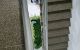 thum-9017848_6AQMxntoNC_1670844136.jpg