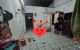 thum-9017950_F6xdMZXs0E_1670895992.jpg