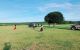 thum-9018090_C4DAH7wfyS_1670917435.jpg