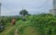 thum-9018093_Umh2QYG15i_1670917469.jpg