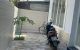 thum-9018215_K9uw0L7ByM_1670948443.jpg