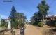 thum-9018325_3ZqQV1bpGd_1670992358.jpg