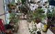 thum-9018577_cNv9OtjpIR_1671074660.jpg