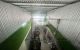thum-9018600_4Qei09OXFZ_1671076906.jpg