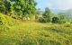 thum-9018688_jn9oNRCYGU_1671091764.jpg