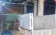 thum-9019015_xuQA6omkG3_1671175577.jpg