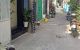 thum-9019033_VPiRTUhXG3_1671178780.jpg