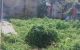 thum-m_hHLjd4V5Az_1671163573.jpg
