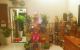 thum-9019302_8b4LPjDSrc_1671285700.jpg
