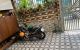 thum-m_hXxzCsH6I9_1671328712.jpg