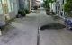 thum-9019472_4tvD5j0BaY_1671416592.jpg