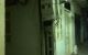 thum-9019535_wA6tOUQ5vc_1671425491.jpg