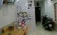 thum-9019600_tiqDk49LZH_1671437787.jpg