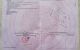 thum-9019937_Kq2znG4W5r_1671528283.jpg