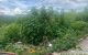 thum-9020248_oR5gIsFZ0x_1671615570.jpg