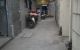 thum-9020283_Lz934Sdkf7_1671622748.jpg