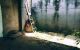 thum-9020476_Re4k1qAaM7_1671691908.jpg