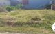 thum-m_ndshor9c6l_1671780384.jpg