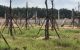 thum-9020920_djYbVQIyS6_1671843410.jpg