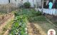 thum-9020938_mfRGd3KALi_1671846527.jpg