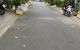 thum-9021057_c16Z2FUPjH_1671879214.jpg