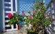 thum-9021389_Zk610chaT7_1672048378.jpg