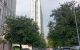 thum-m_tjgBO92J5u_1672046718.jpg