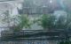 thum-9021884_BliSYEpPAt_1672211893.jpg