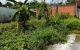 thum-9021958_ObSve2IWns_1672220156.jpg