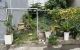 thum-m_DTdgsIv7Qj_1672199973.jpg