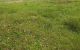 thum-9022309_4Z9OsKaDIQ_1672330373.jpeg