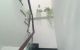 thum-9022316_EQWxG6MAU8_1672331695.jpg